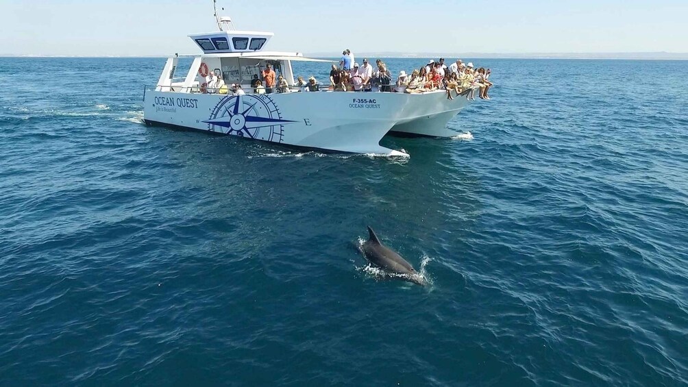 Vilamoura: Boat Tour Dolphin Quest