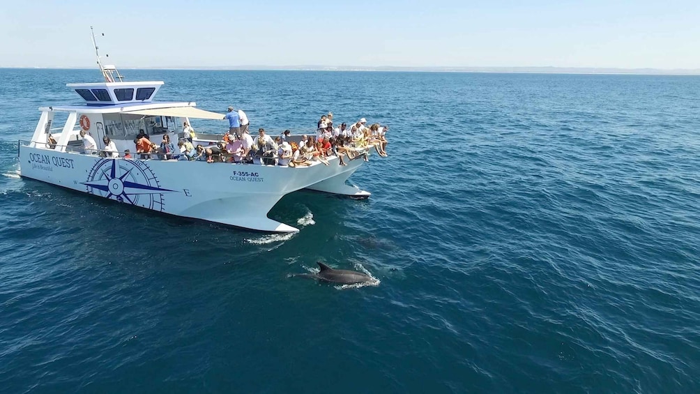 Picture 1 for Activity Vilamoura: Boat Tour Dolphin Quest
