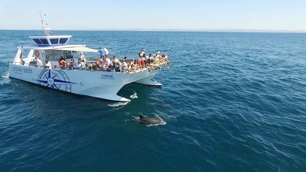 Picture 1 for Activity Vilamoura: Boat Tour Dolphin Quest