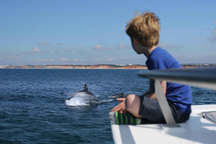 Picture 2 for Activity Vilamoura: Boat Tour Dolphin Quest