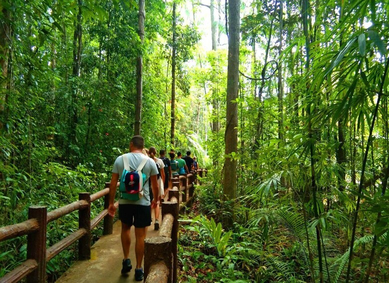 Picture 32 for Activity Krabi: Tiger Temple, Hot Springs & Crystal Pool Jungle Tour