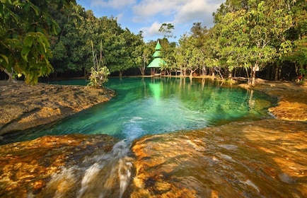 Krabi : Temple du tigre, sources d'eau chaude et Crystal Pool Jungle Tour
