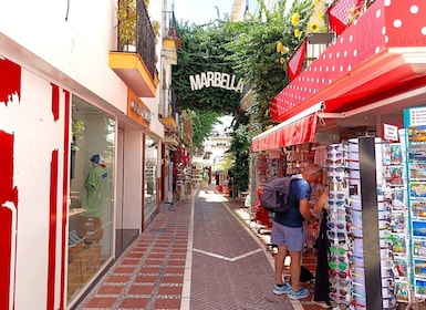 Marbella : Visite à pied privée
