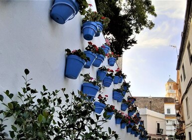 Marbella: Privéwandeling