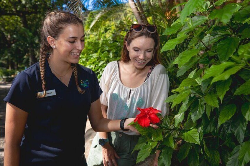 Guided Nature or Rainforest Walk (Optional Extra at Fitzroy Island