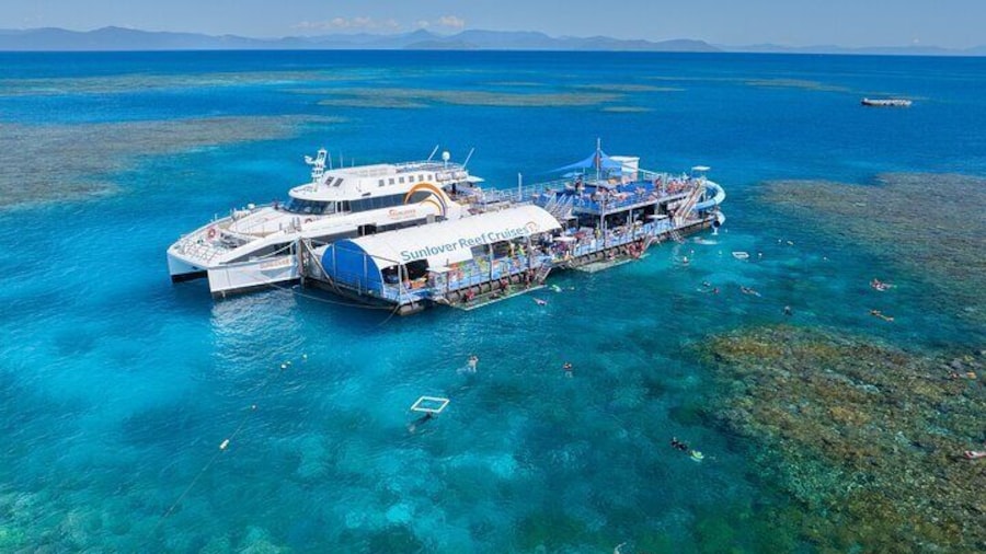 Full Day Tour to Sunlover Cruises Moore Reef and Fitzroy Island