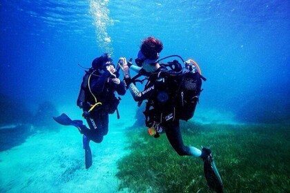 Half-Day Scuba Diving Discovery