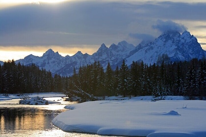 Luxury 1/2 Day Winter Grand Teton Tour & Sleigh Ride