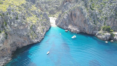 Soller: Sa Calobra & Cala Tuent Speedboat-tur