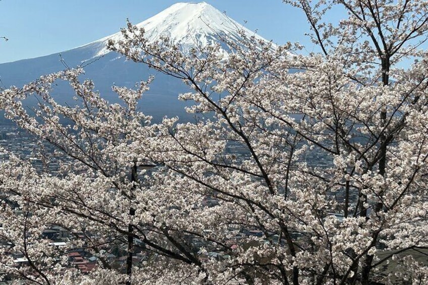 Arakurayama with Mt.Fuji