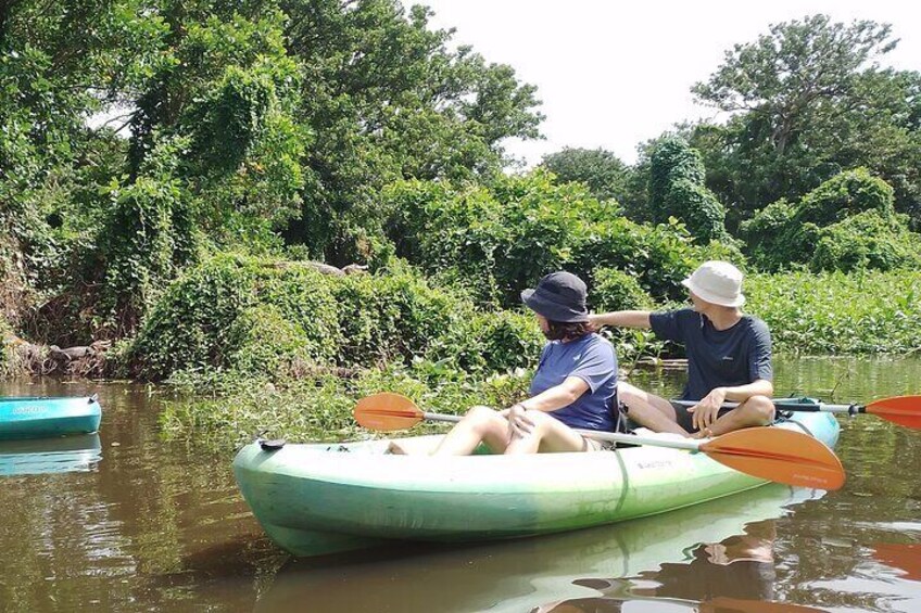 Private Kayaking Experience in Ometepe