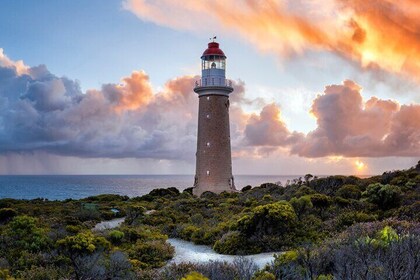 Kangaroo Island Lighthouse Tour with Wine Tasting
