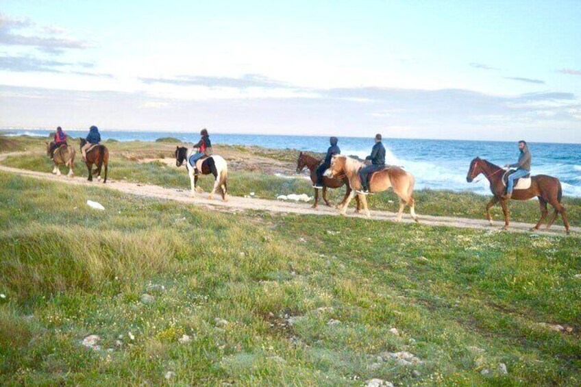 Horse ride in a Salento Nature Reserve with transfer from Lecce