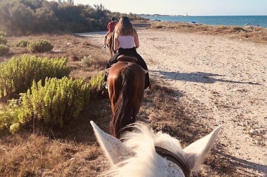 Horse ride in a Salento Nature Reserve