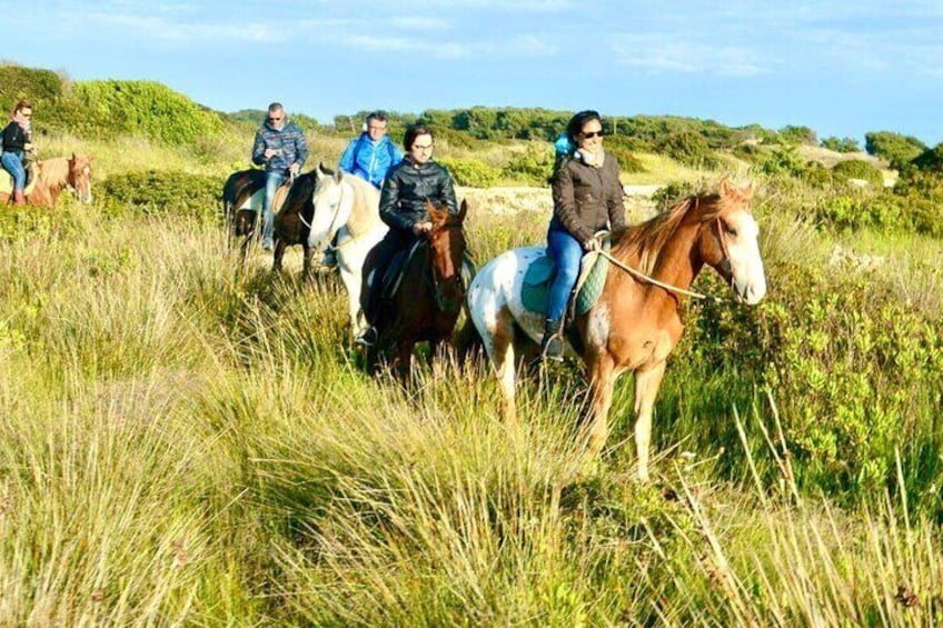 Horse ride in a Salento Nature Reserve with transfer from Lecce