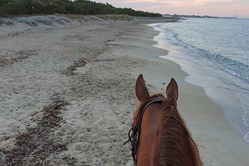 Horse ride in a Salento Nature Reserve