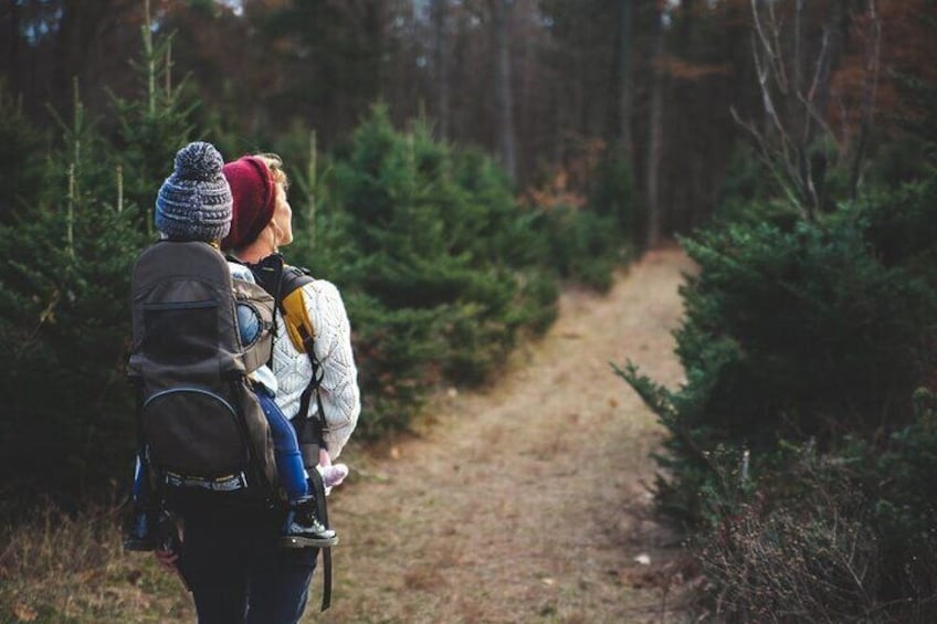 Family-Friendly Nature Hike around the Big Bear Valley