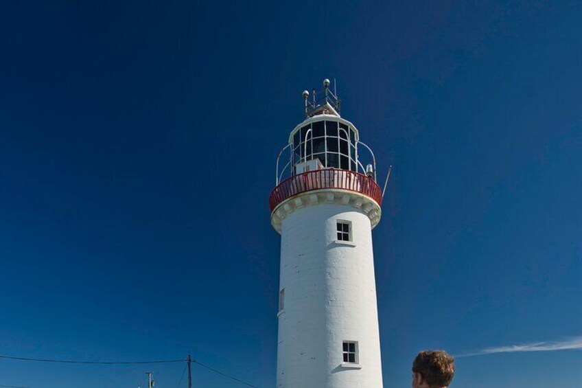 The tower