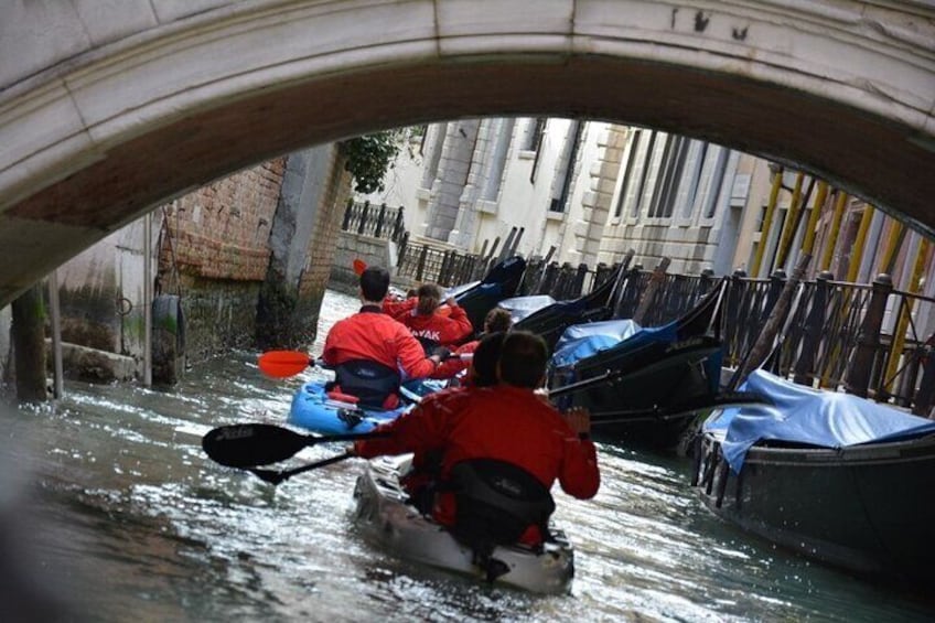 Kayak Tour in Venice