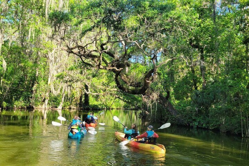 Small group paddles are our specialty.