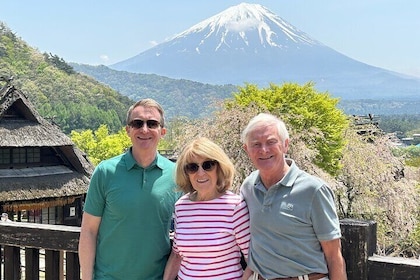 Mt.Fuji (Plus Gotemba)Tour , From/To Tokyo&Yokohama, 2- 12 guests