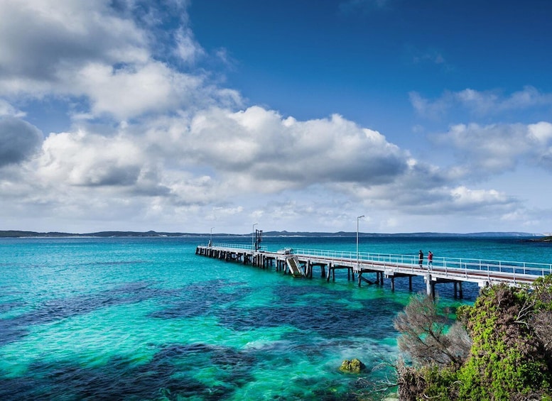 Picture 8 for Activity From Penneshaw: Kangaroo Island Sights and Wildlife Tour