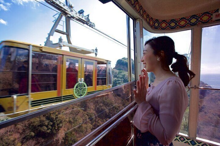 Private Sightseeing Tour in Shimizu Port by Sedan Taxis