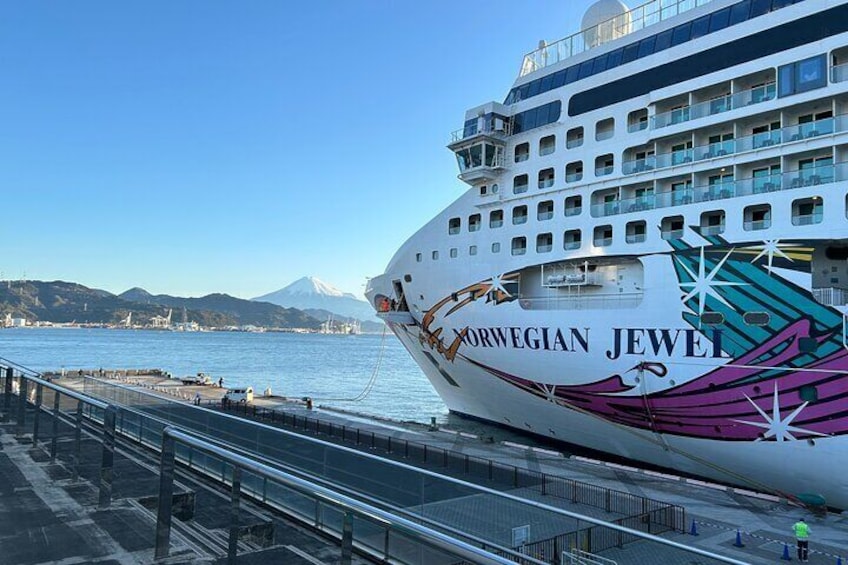 Private Sightseeing Tour in Shimizu Port by Sedan Taxis