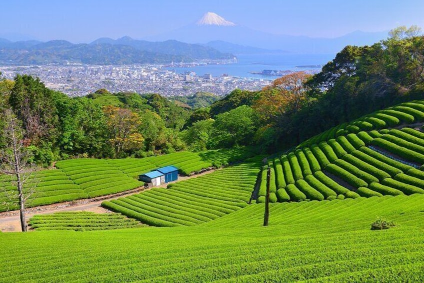 Nihondaira Plateau