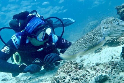 From Dubai : Discover Scuba Dive in Khorfakkan ( No Hidden Fee)