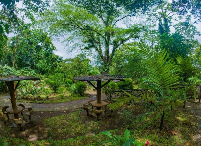 Picture 4 for Activity La Fortuna: Místico Arenal Hanging Bridges Admission Ticket