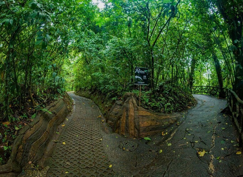 Picture 3 for Activity La Fortuna: Místico Arenal Hanging Bridges Admission Ticket