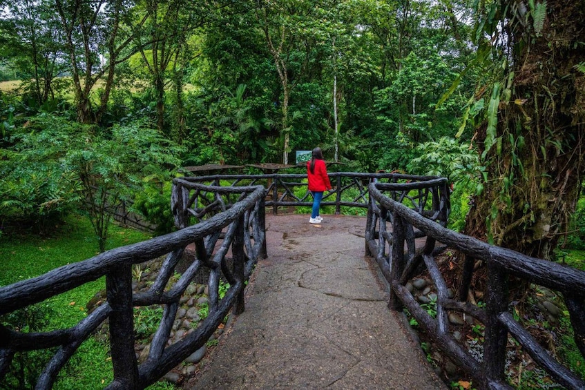 Picture 1 for Activity La Fortuna: Místico Arenal Hanging Bridges Admission Ticket