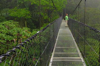 La Fortuna: Místico Arenal Hanging Bridges Admission Ticket