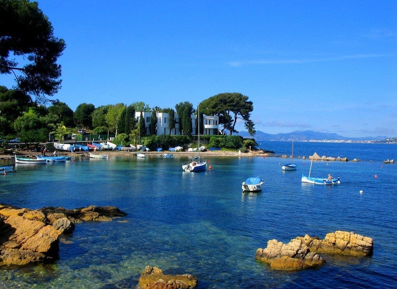 Picture 11 for Activity Visit Saint Paul de Vence, Antibes, and Cannes: 7-Hour Tour