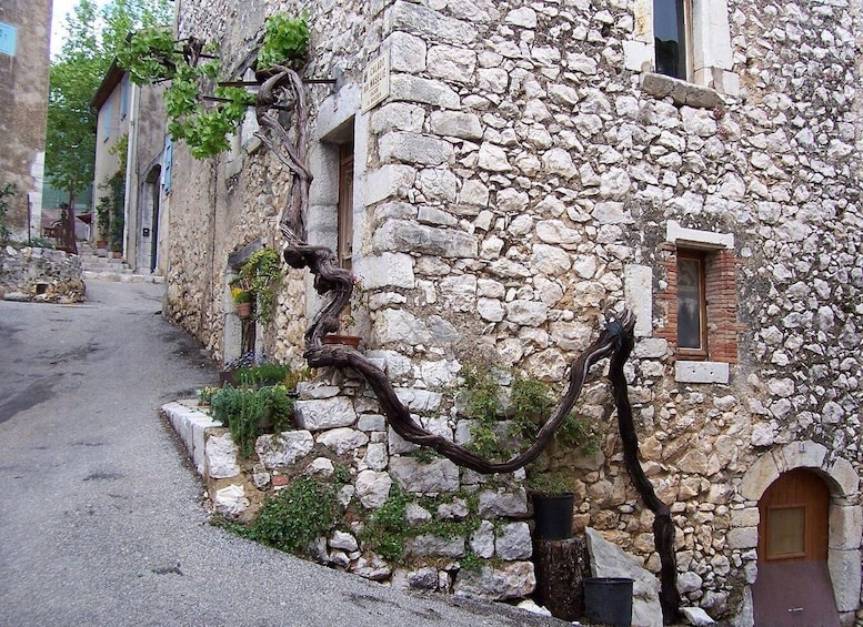 Picture 10 for Activity Visit Saint Paul de Vence, Antibes, and Cannes: 7-Hour Tour