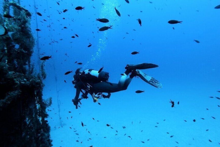 2 Scuba Fun Dives for Certified divers in St Paul's Bay