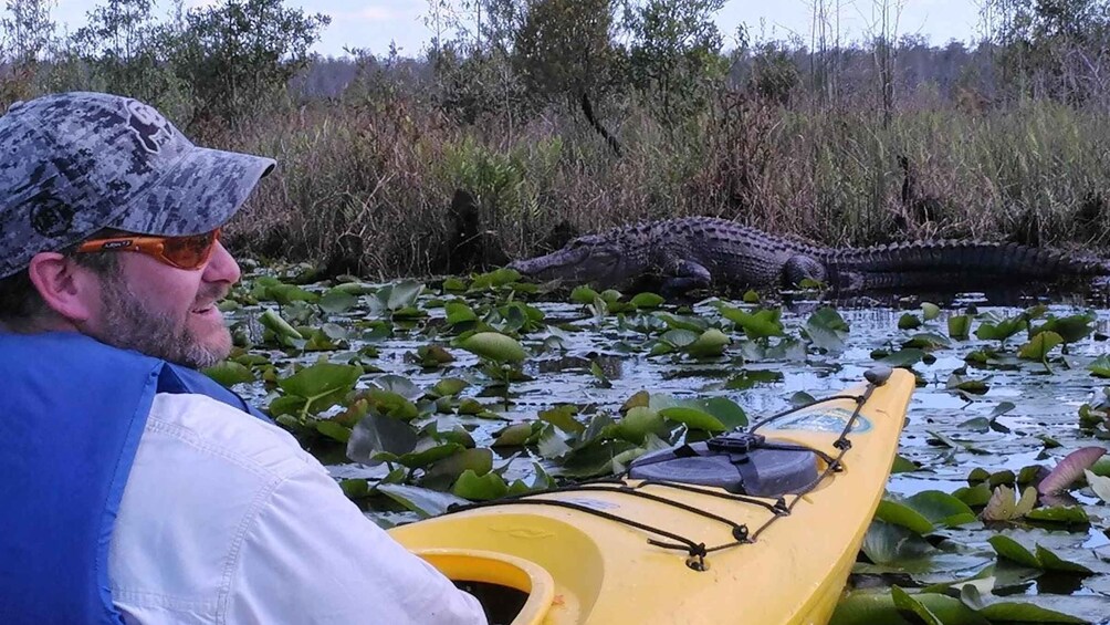 Picture 3 for Activity Orlando Alligator Experience: Day-Trip From Orlando