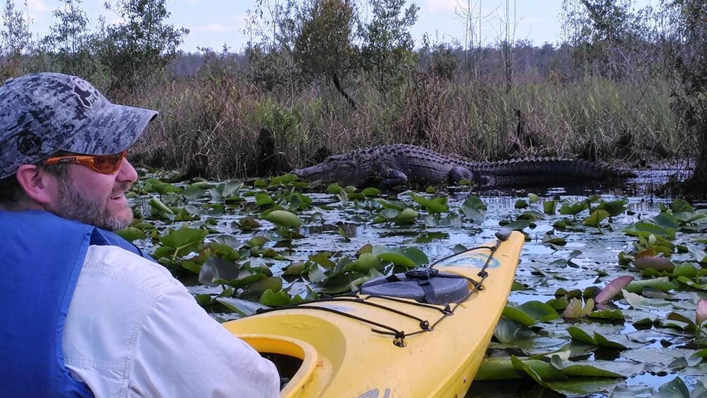 Picture 3 for Activity Orlando Alligator Experience: Day-Trip From Orlando