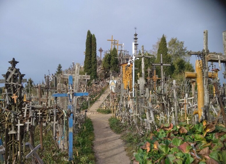 Picture 2 for Activity Siauliai 2-Hour Private Tour to Hill of Crosses