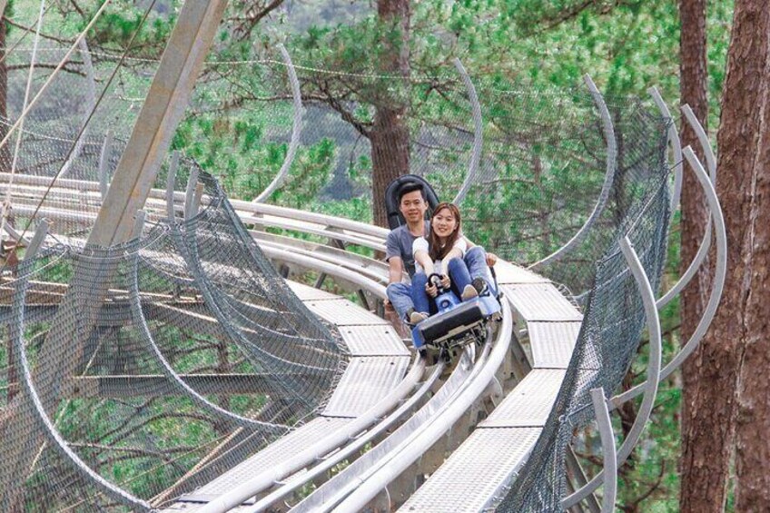 alpine coaster