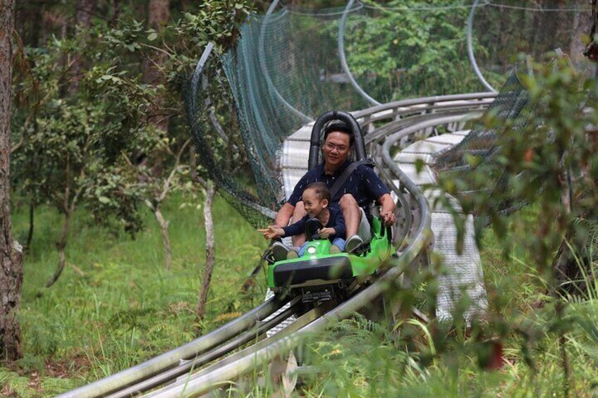 alpine coaster