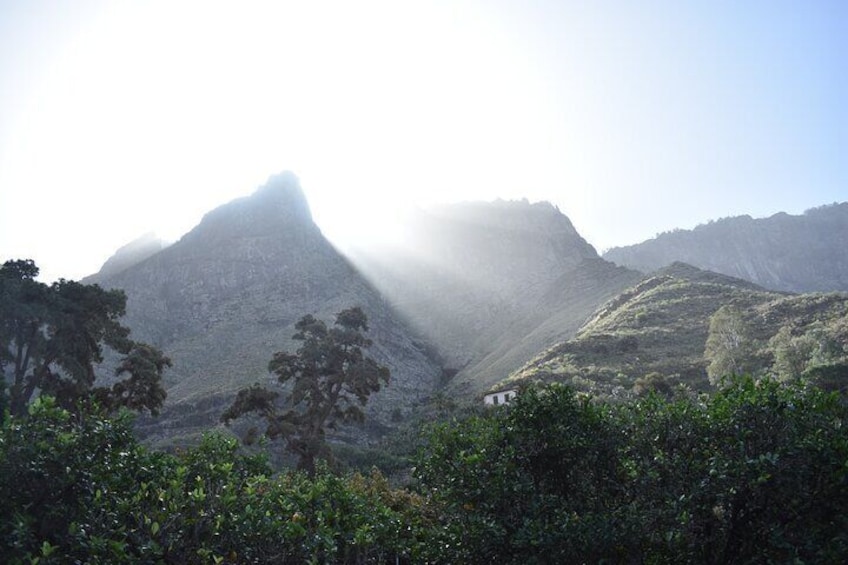 Private Shore Excursion in Gran Canaria with a Local Guide