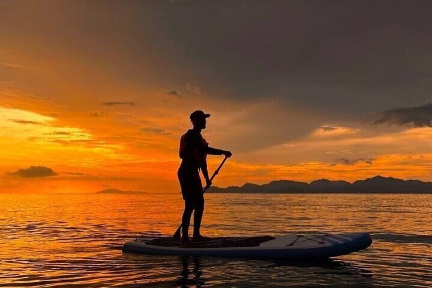 Private Half Day Langkawi Mangrove Tour By Kayaking (Cannoeing)