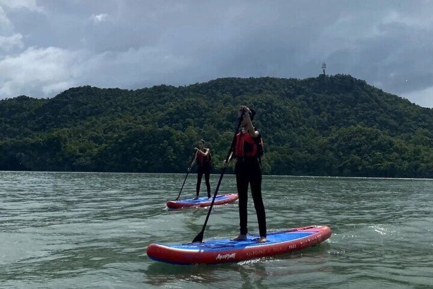 Private Half Day Langkawi Mangrove Tour By Kayaking (Cannoeing)