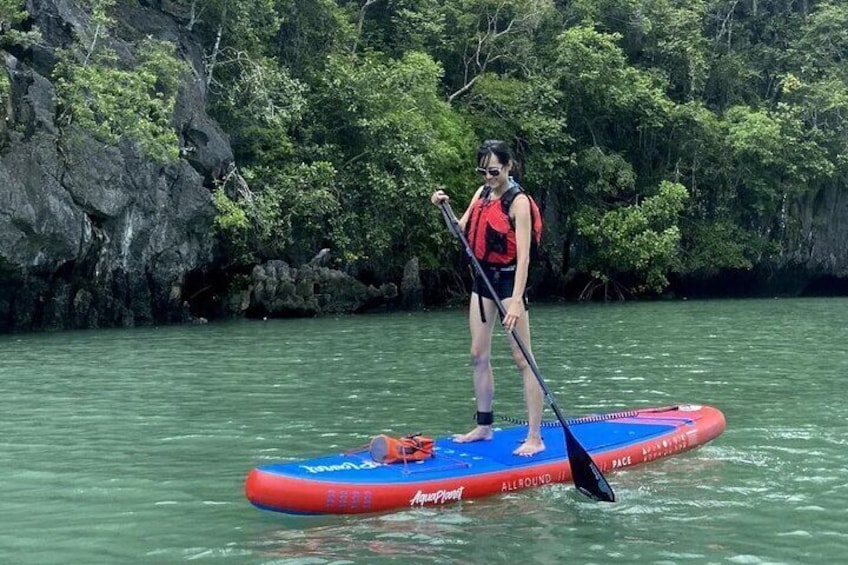 Private Half Day Langkawi Mangrove Tour By Kayaking (Cannoeing)