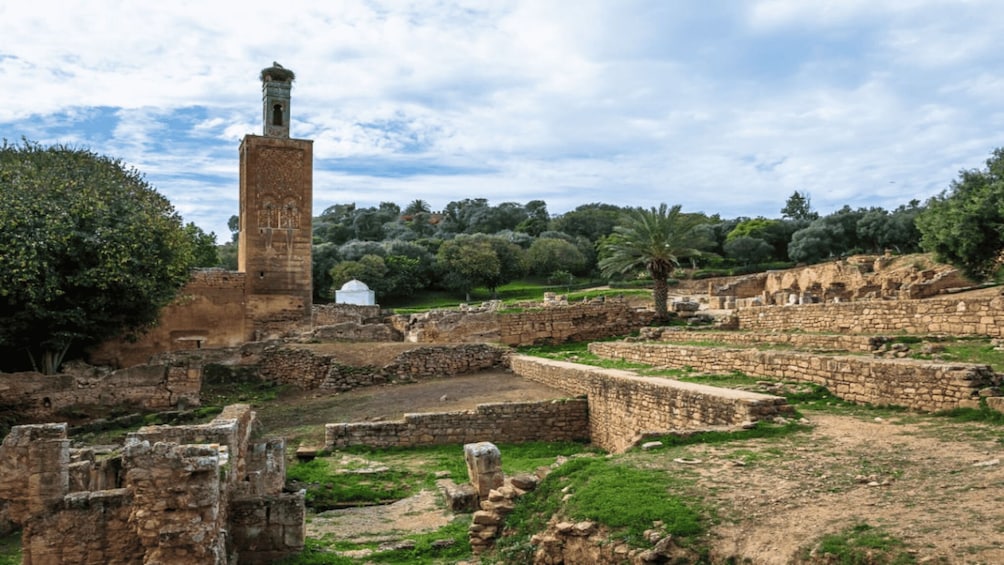 Picture 3 for Activity From Casablanca: Rabat Imperial City Day Trip