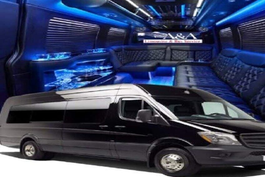 4 or 5 hour Hollywood Private Tour in Mercedes Sprinter Party Bus