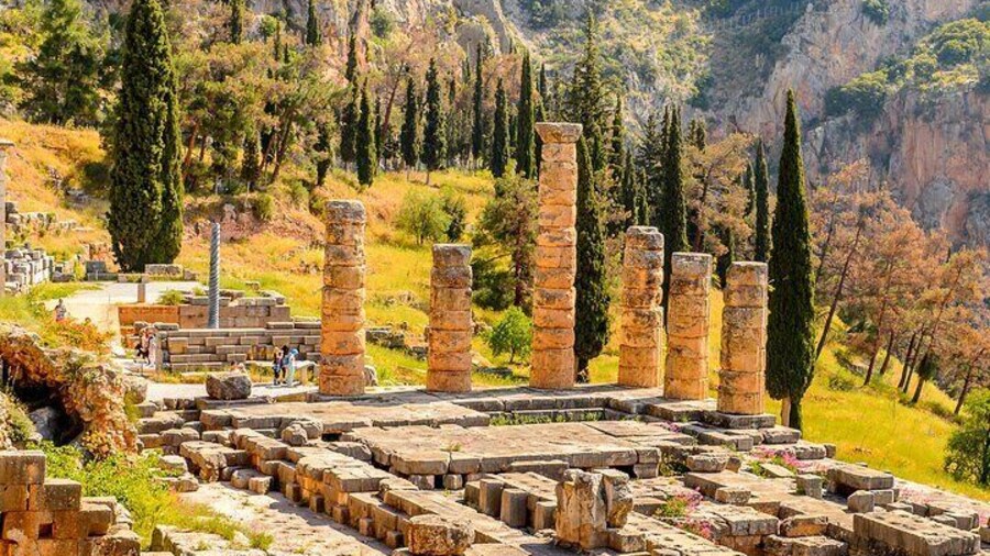 Private Full Day Tour in Delphi