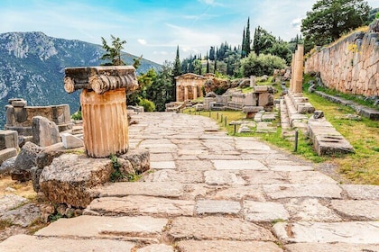 Privat heldagstur i Delphi